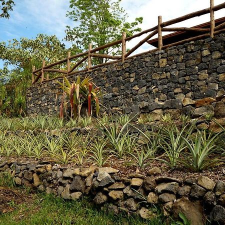 Finca Estacion Descansos Panzió Paraíso Kültér fotó