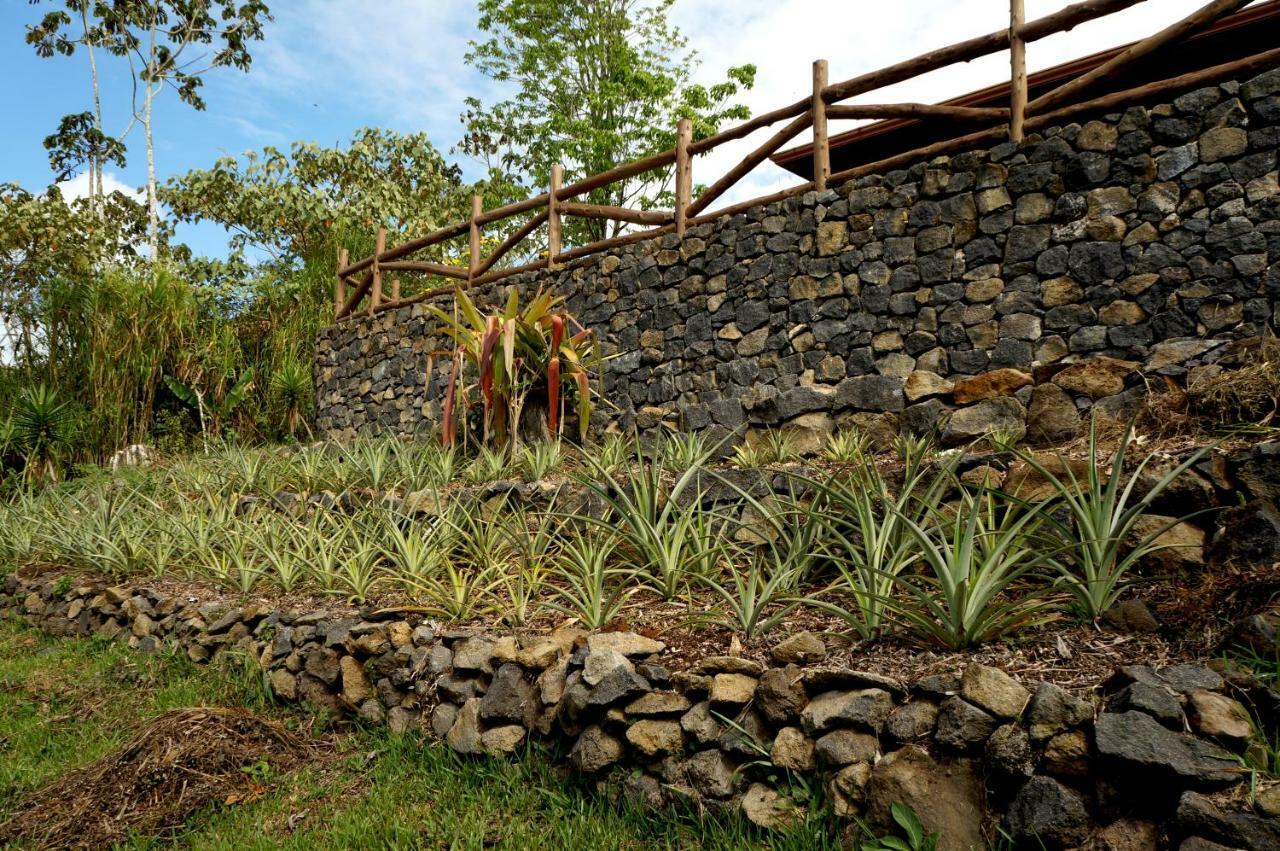 Finca Estacion Descansos Panzió Paraíso Kültér fotó