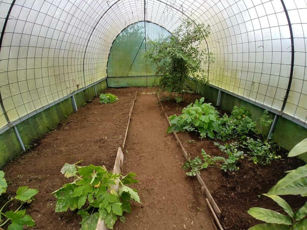 Finca Estacion Descansos Panzió Paraíso Kültér fotó
